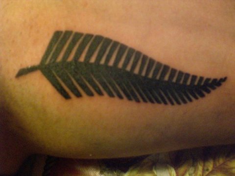 Alessandro - Silver fern: real inked placement tattoo photo thumbnail