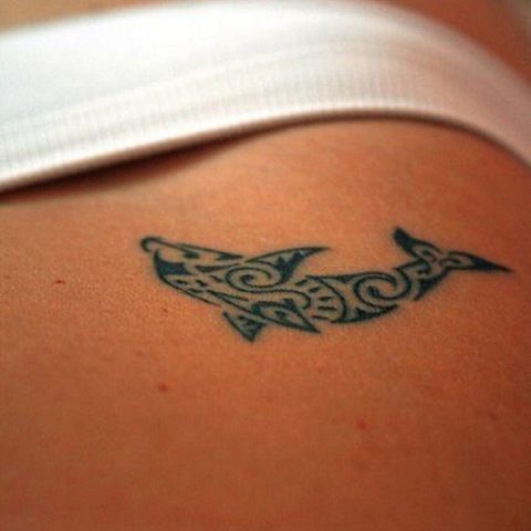 Guest - Dolphin: real inked placement tattoo photo thumbnail
