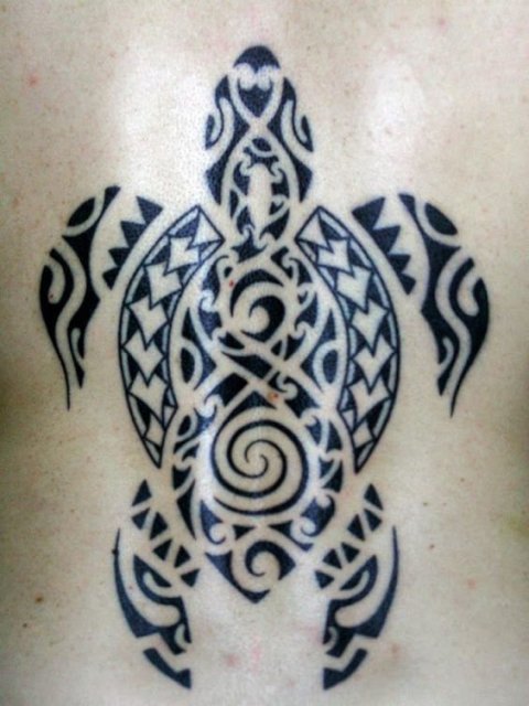 Guest - hui turtle: real inked placement tattoo photo thumbnail