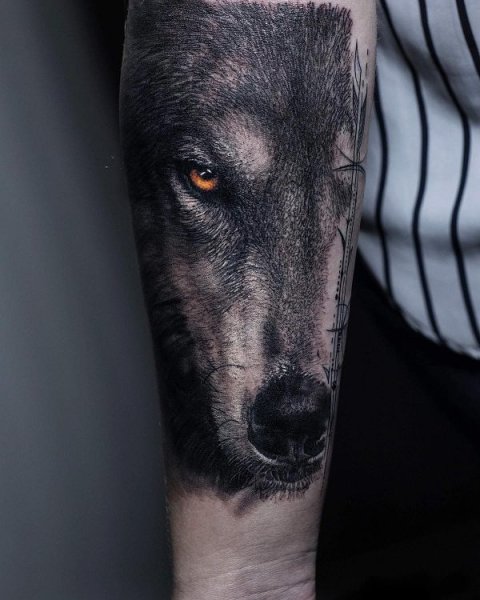 Guest - wolf head: real inked placement tattoo photo thumbnail
