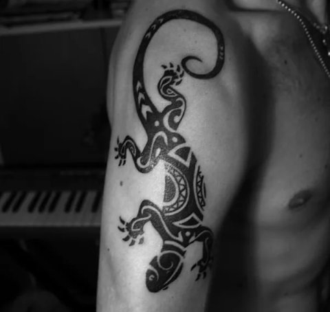 Marko - Lizard: inked placement tattoo photo thumbnail