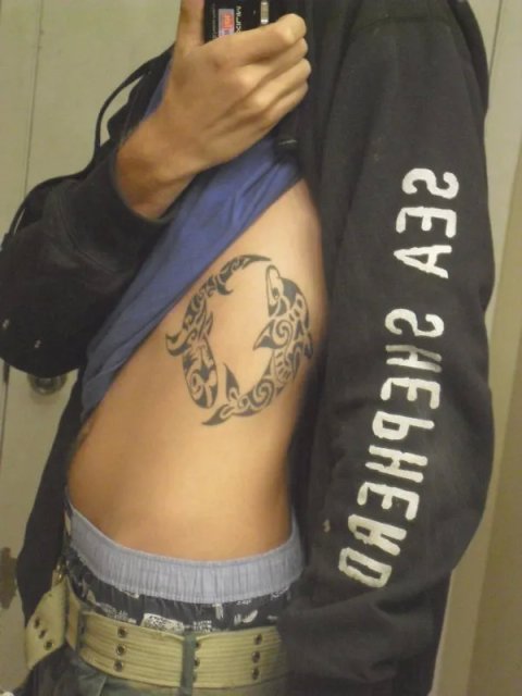 Matt - Dolphin and shark: inked placement tattoo photo thumbnail