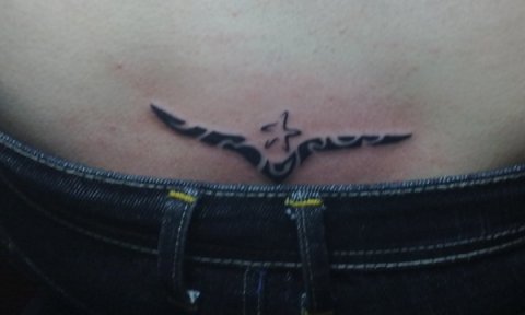 Thao - Seagull & star: real inked placement tattoo photo thumbnail