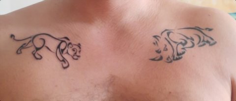 Ugo - Lioness: real inked placement tattoo photo thumbnail