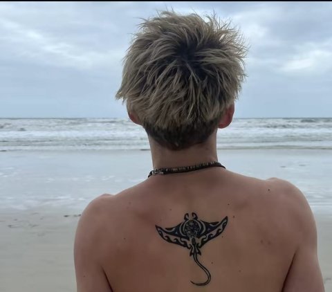 Guest - Small manta: inked placement tattoo photo thumbnail