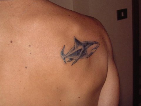 Valerio - squaletto: real inked placement tattoo photo thumbnail